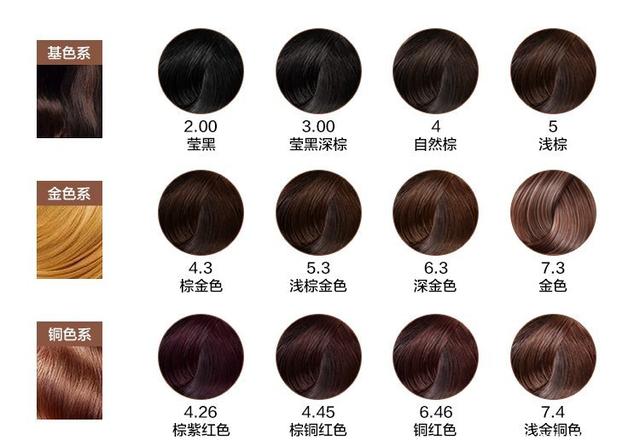 广东好物在2025全国名特优新农产品产销对接活动上实力圈粉