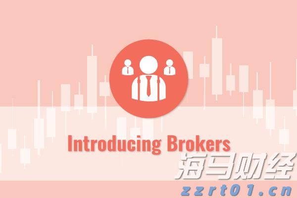 视频｜清远西牛麻竹笋，领鲜百亿新征程