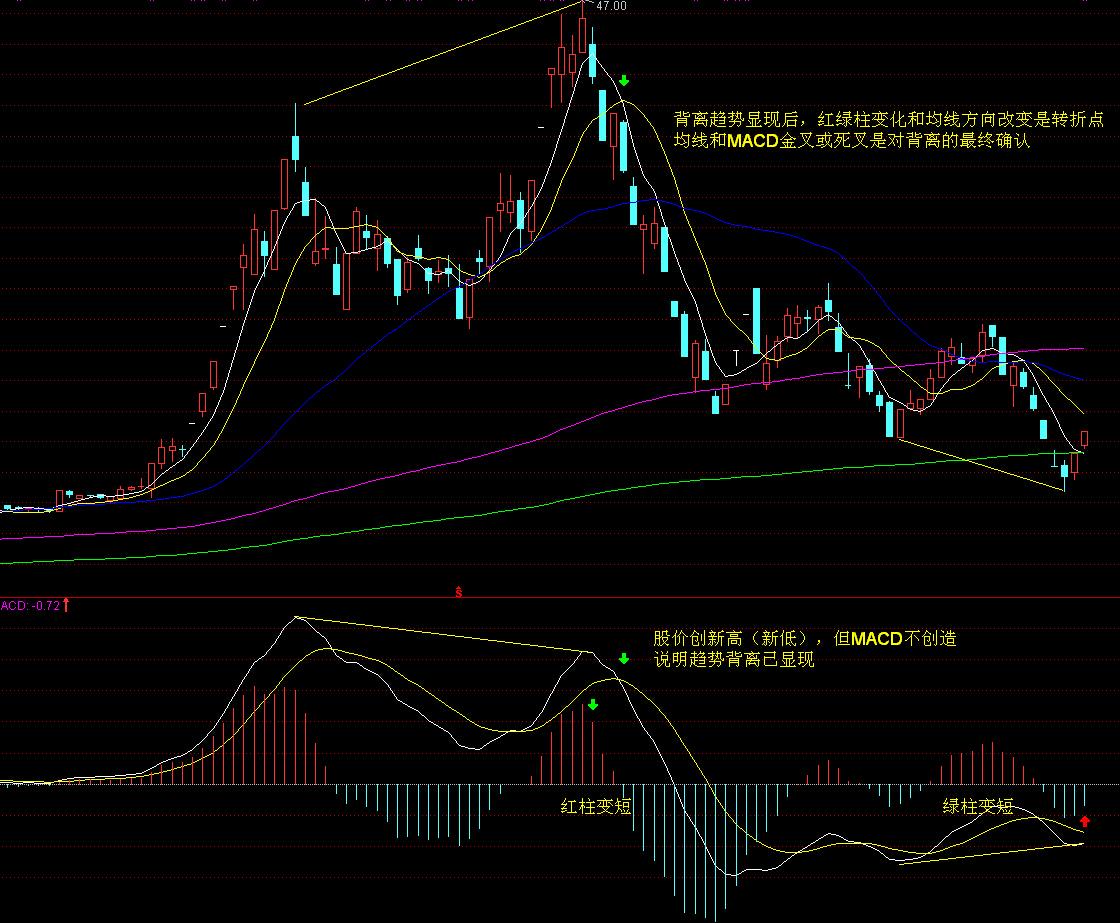 广东“百万英才汇南粤”秋季招聘启动！
