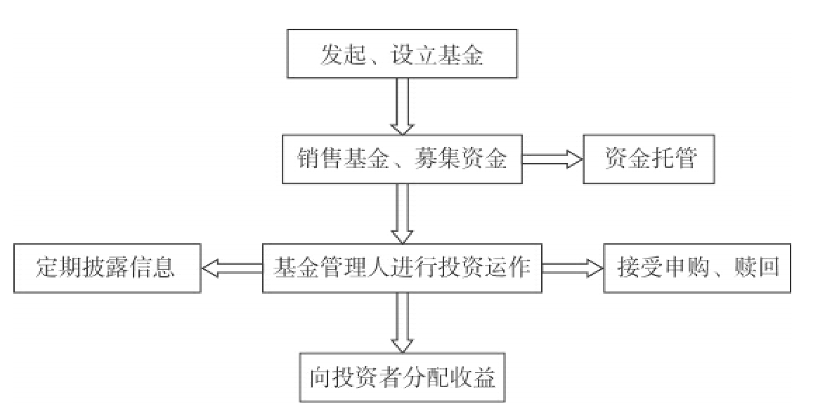 广东湛江：中华白海豚种群稳定 生态保护显成效