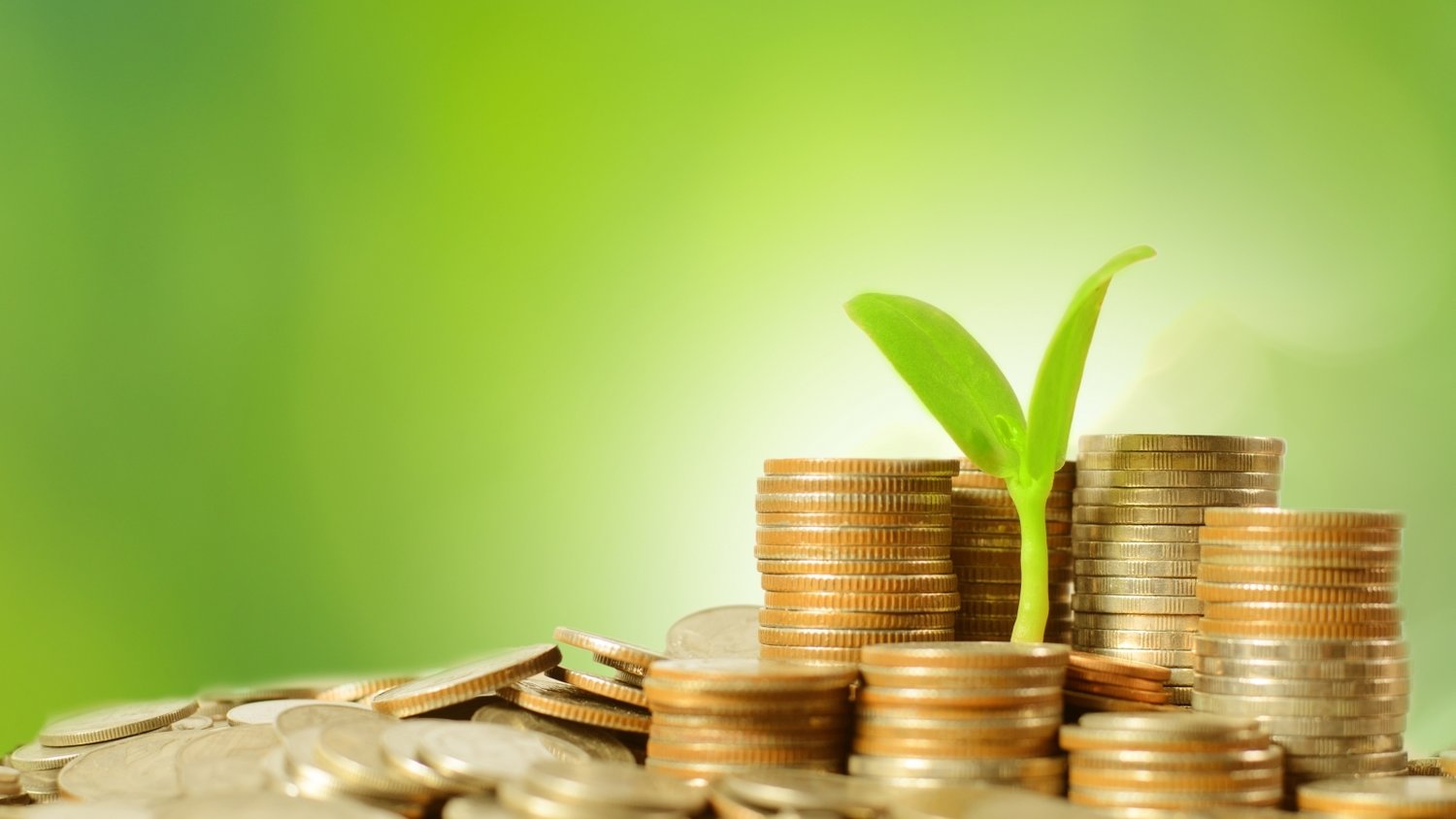 广东部署开展2024年价监竞争“清网守护”专项行动