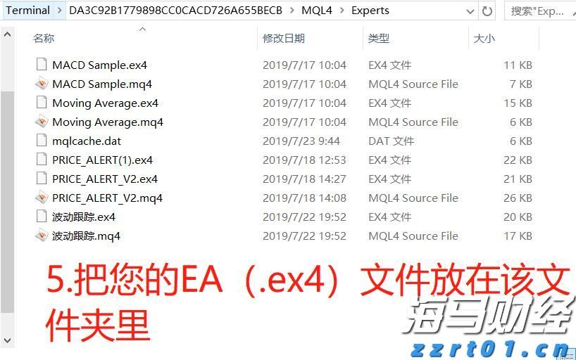 梅州海关供港澳活猪远程检疫监装模式正式启动