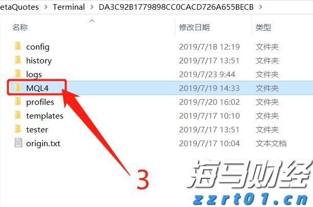 梅州海关供港澳活猪远程检疫监装模式正式启动