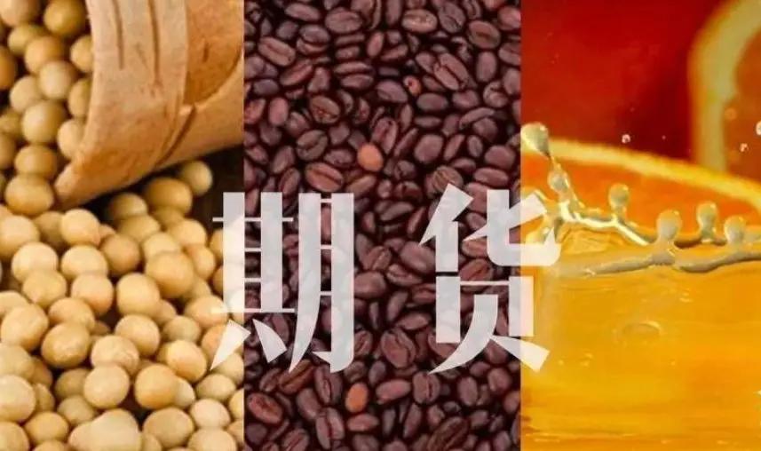 百名记者·百村纪行｜东湖村：守着泥，向着光，藕塘深处有人家
